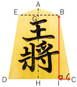 将棋駒（王将）の正面図に、正面向かって右下の角度を示した図。